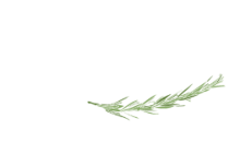 Logo Schlemmerschupp